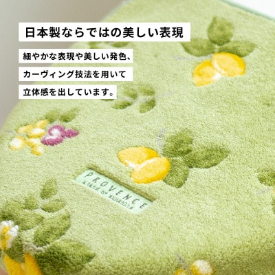 プロヴァンス シエル フタカバー グリーン 抗菌防臭 トイレフタ