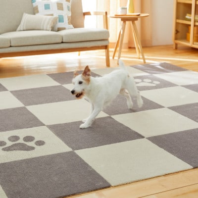 洗えるジョイントペットマット　45×45cm　ブラウン　12枚組　ピタペトモ　犬・猫用　吸着