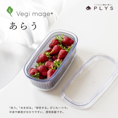 ベジマジあらうスリム　野菜保存容器　ボウル　ザル　セット　フタ付き　グレー