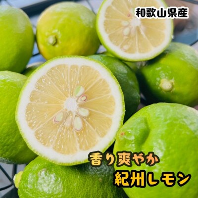 ≪先行予約 2026年10月~発送≫【国産】農家直送 紀州レモン 約3kg