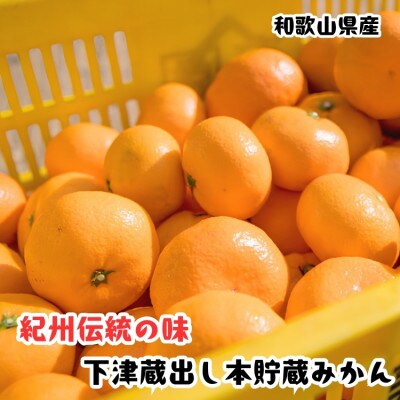 ≪先行予約 2027年1月～発送≫こだわり栽培で育った年明け蔵出し本貯蔵みかん　約5kg