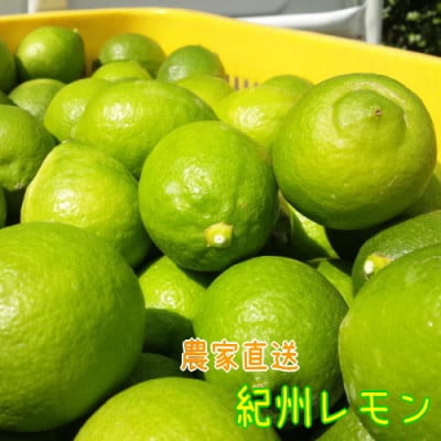 【国産】農家直送!　紀州レモン　約2kg