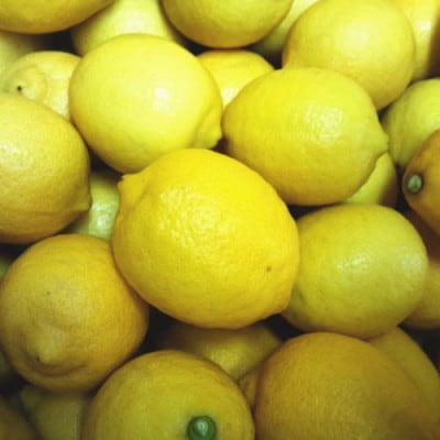 【国産】農家直送!　紀州レモン　約2kg