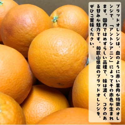 ≪先行予約 2027年4月～発送≫【高級柑橘】和歌山県産　濃厚ブラッドオレンジ「タロッコ」 約2kg