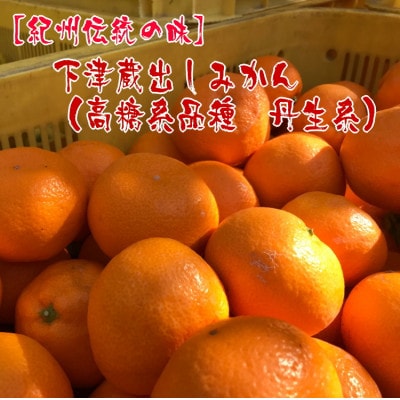 【紀州伝統の味】下津蔵出しみかん(高糖系品種 丹生系)約3kg【S～L混合サイズ】