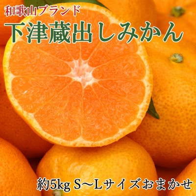 【産直】下津蔵出しみかん約5kg(S～Lサイズおまかせ)