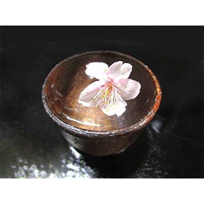本格米焼酎と本格米芋混和焼酎『錐鑚』720ml×2種 