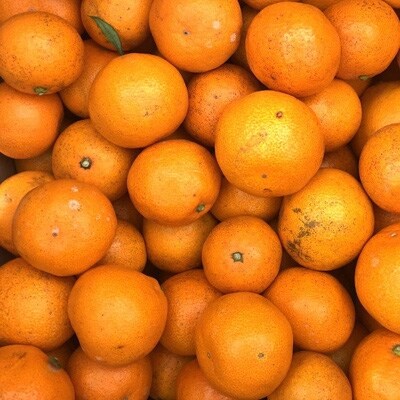 【産直】下津蔵出しみかん5kgご家庭用向け(サイズ混合)