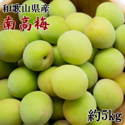 【和歌山名産】南高梅約5kg(サイズ混合またはおまかせ)(海南市)