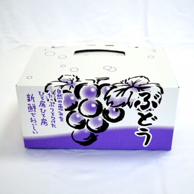 ピオーネと翠峰の夏のおまかせセット約200g×4パック(海南市)