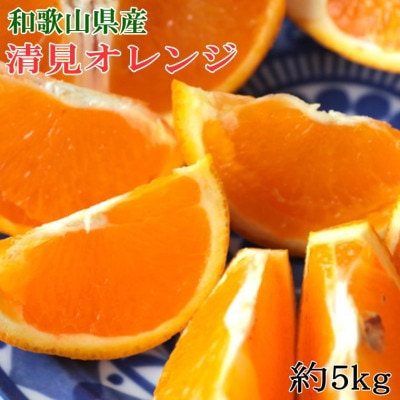 和歌山県産　清見オレンジ約5kg(サイズ混合)【海南市】
