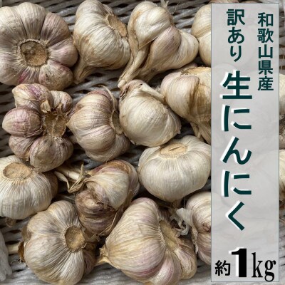和歌山県産生にんにく約1kg　ご家庭用(海南市)