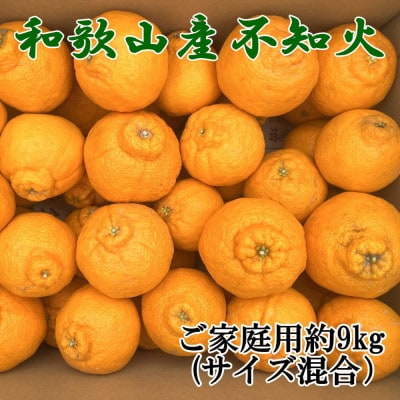 「農園直送」和歌山県産不知火　もりもりの約9kg(サイズ混合　ご家庭用)　(海南市)