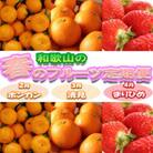 【発送月固定定期便】和歌山の春のフルーツ(ポンカン・清見オレンジ・まりひめ)定期便全3回