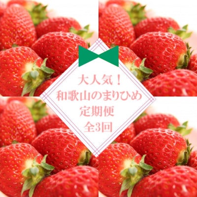 【発送月固定定期便】大人気のまりひめを満喫!300g×2パックを1月・3月・5月に発送全3回