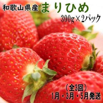 【発送月固定定期便】大人気のまりひめを満喫!300g×2パックを1月・3月・5月に発送全3回