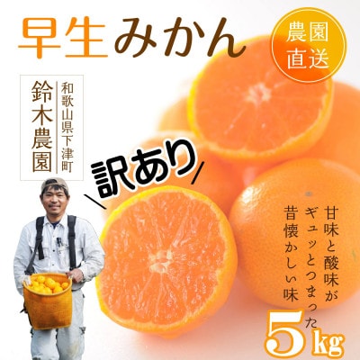【訳あり】早生みかん 5kg(和歌山・下津町産)産地直送【先行受付】