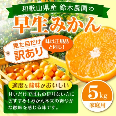 【家庭用・訳あり】和歌山県産 早生みかん 5kg|昔ながらの酸味を楽しむ