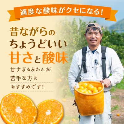 【家庭用・訳あり】和歌山県産 早生みかん 5kg|昔ながらの酸味を楽しむ