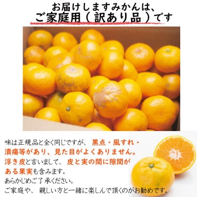 【家庭用・訳あり】和歌山県産 早生みかん 5kg|昔ながらの酸味を楽しむ