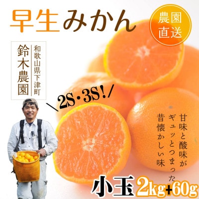 みかん　小玉サイズ　2キロ+60g(3S・2Sサイズ混合)酸味が好きな方におススメ