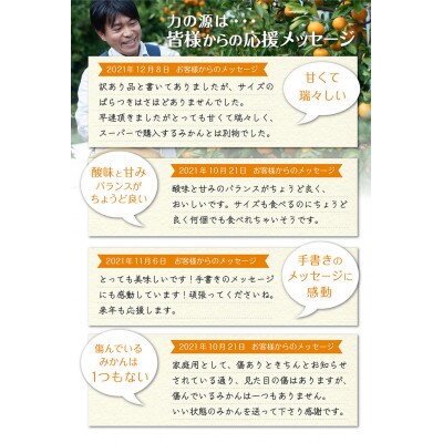 みかん　小玉サイズ　2キロ+60g(3S・2Sサイズ混合)酸味が好きな方におススメ