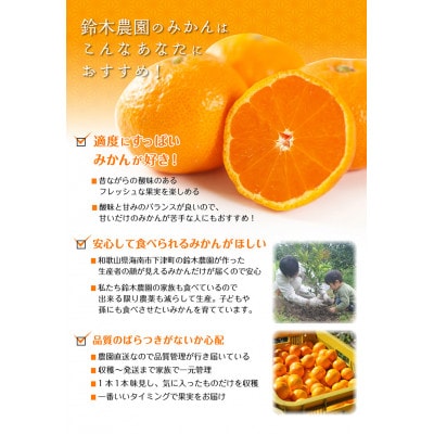 みかん　小玉サイズ　2キロ+60g(3S・2Sサイズ混合)酸味が好きな方におススメ