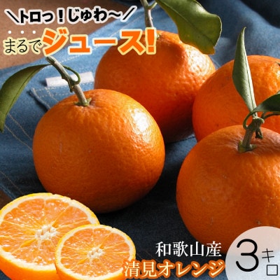 【2025年3月より順次発送】鈴木農園の清見オレンジ　混合サイズ3kg　和歌山県より農園直送