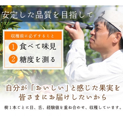 【2025年3月より順次発送】鈴木農園の清見オレンジ　混合サイズ3kg　和歌山県より農園直送