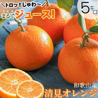 【2025年3月より順次発送】鈴木農園の清見オレンジ　混合サイズ5kg　【和歌山の清見オレンジ】