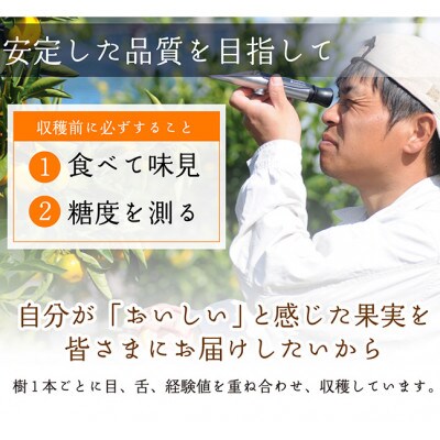 【2025年3月より順次発送】鈴木農園の清見オレンジ　混合サイズ5kg　【和歌山の清見オレンジ】