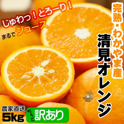 【和歌山県下津町産】鈴木農園の『訳あり 清見オレンジ』ご家庭用5kg【2025年3月より順次発送】