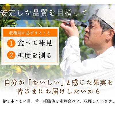 【和歌山県下津町産】鈴木農園の『訳あり 清見オレンジ』ご家庭用5kg【2025年3月より順次発送】