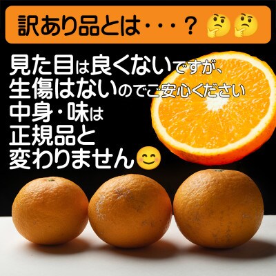 【和歌山県下津町産】鈴木農園の『訳あり 清見オレンジ』ご家庭用5kg【2025年3月より順次発送】