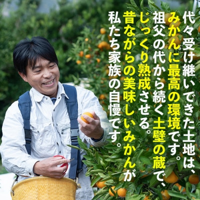 【訳あり】蔵出しみかん 5kg|和歌山・下津町産の旬の訳ありみかんを農園直送!【鈴木農園】
