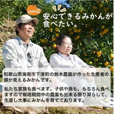 【訳あり】蔵出しみかん 5kg|和歌山・下津町産の旬の訳ありみかんを農園直送!【鈴木農園】
