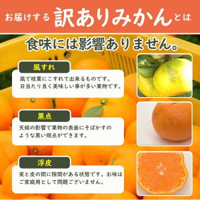 【和歌山県下津町産】鈴木農園の『訳あり　みかん』ご家庭用6.5kg【2025年1月より順次発送】