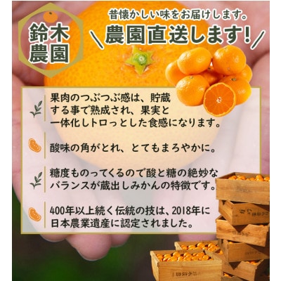 【みかん 小玉サイズ】蔵出しみかん 小玉 5kg(S、2Sサイズ)和歌山県下津町の鈴木農園から直送