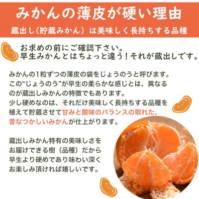 【2026年1月より順次発送】和歌山県産　みかん　小粒サイズ(2S・Sサイズ)3kg　鈴木農園直送