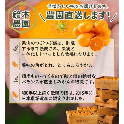 【蔵出しみかん 5kg(S、M、Lサイズお任せ)】蔵で育む伝統の味わいを産地直送|和歌山県 鈴木農園