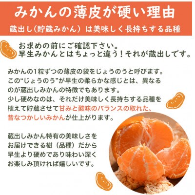 【蔵出しみかん 5kg(S、M、Lサイズお任せ)】蔵で育む伝統の味わいを産地直送|和歌山県 鈴木農園