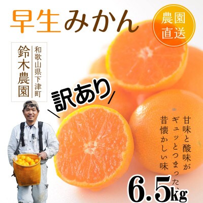 【和歌山県産】鈴木農園の 『訳あり早生みかん』6.5kg 混合サイズ【11月中旬より順次発送】