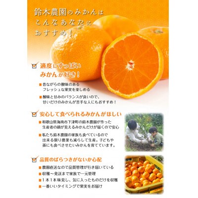 【和歌山県産】鈴木農園の 『訳あり早生みかん』6.5kg 混合サイズ【11月中旬より順次発送】