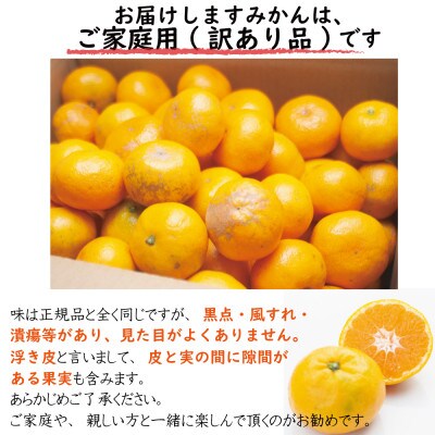 【和歌山県産】鈴木農園の 『訳あり早生みかん』6.5kg 混合サイズ【11月中旬より順次発送】