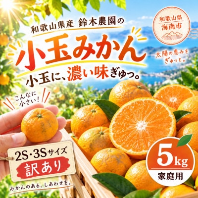 【みかん 2S・3Sサイズ】和歌山県下津町産 小玉みかん 5kg(早生みかん 訳あり)