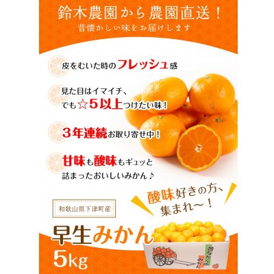 和歌山県鈴木農園の早生みかん　小粒サイズ　訳あり5kg(SS・SSSサイズ混合)農園直送