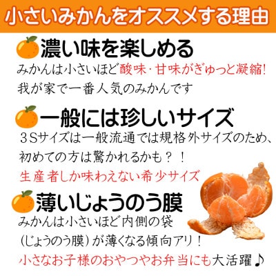 【みかん 2S・3Sサイズ】和歌山県下津町産 小玉みかん 5kg(早生みかん 訳あり)