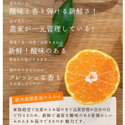 和歌山県鈴木農園の早生みかん　小粒サイズ　訳あり5kg(SS・SSSサイズ混合)農園直送