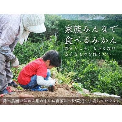 和歌山県鈴木農園の早生みかん　小粒サイズ　訳あり5kg(SS・SSSサイズ混合)農園直送