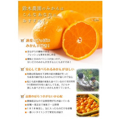 【和歌山・下津町産 早生みかん 3kg(S、M、Lサイズお任せ)】農家厳選の昔懐かしい味